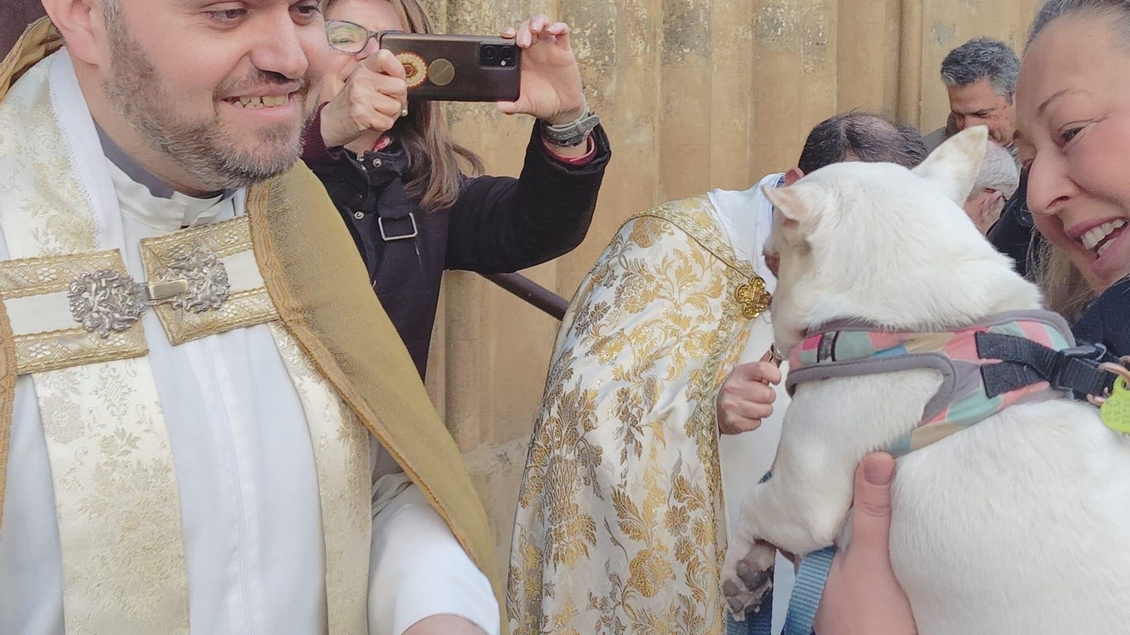 Un perro recibe la bendición por San Antón Un perro recibe la bendición por San Antón