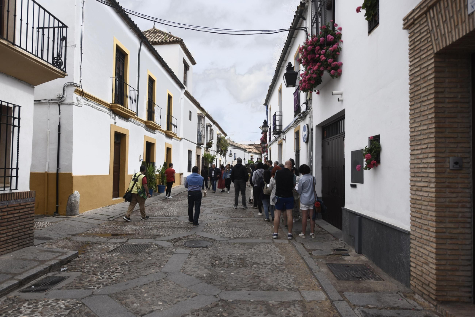 Los Patios de Córdoba de la Ruta del Alcázar Viejo, en imágenes