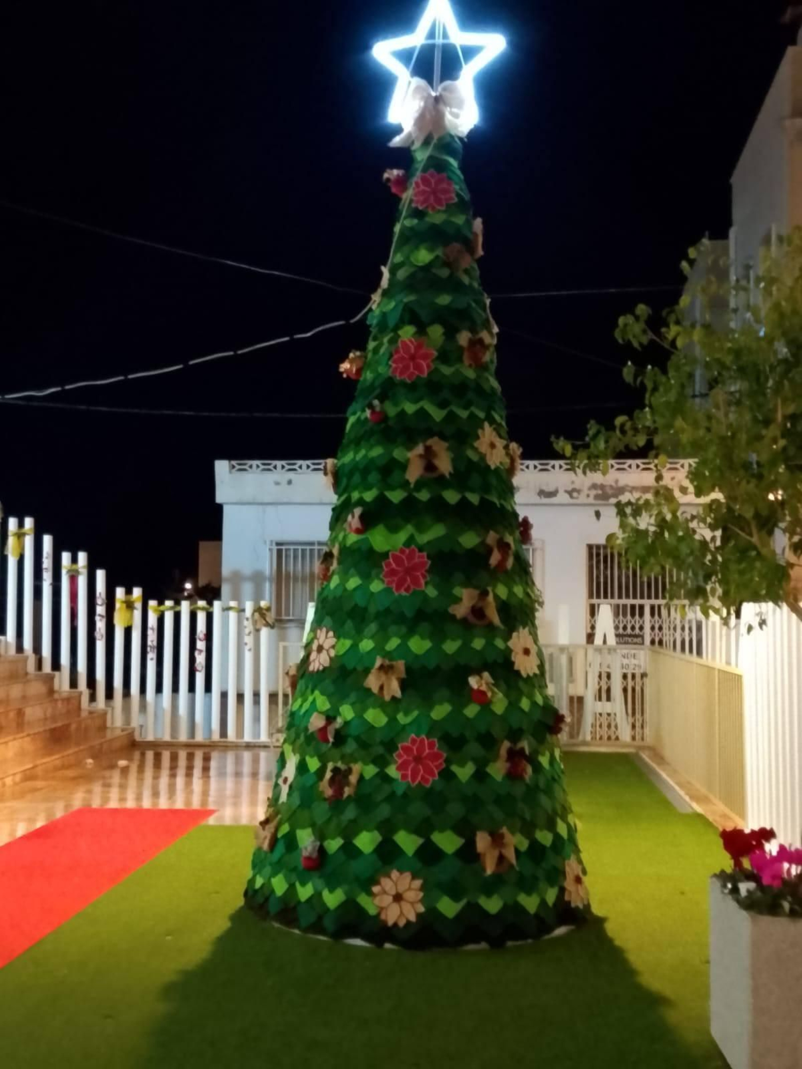 Las mujeres de Alhama de Almería alegran la Navidad