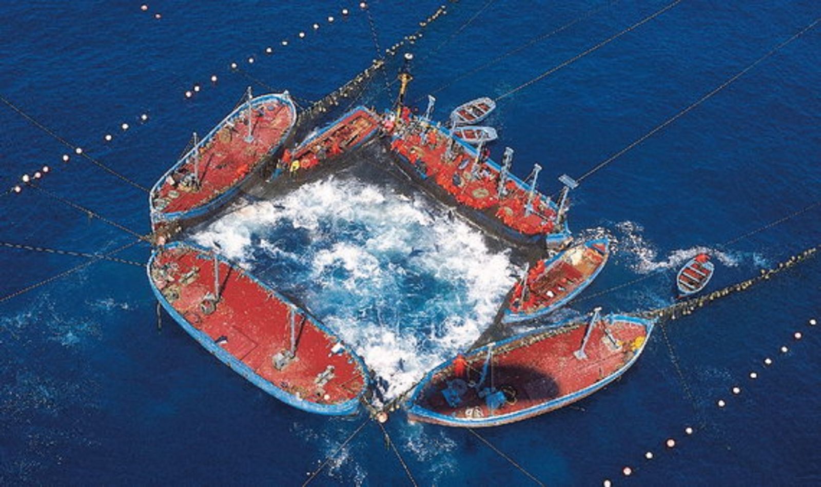 Vista aérea de la levantá de una almadraba en la costa de la Janda.