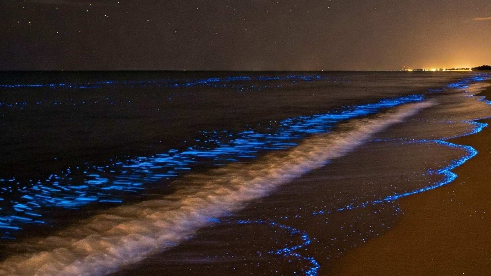 ¿Se puede ver el fenómeno "Mar de Ardora" en Huelva?