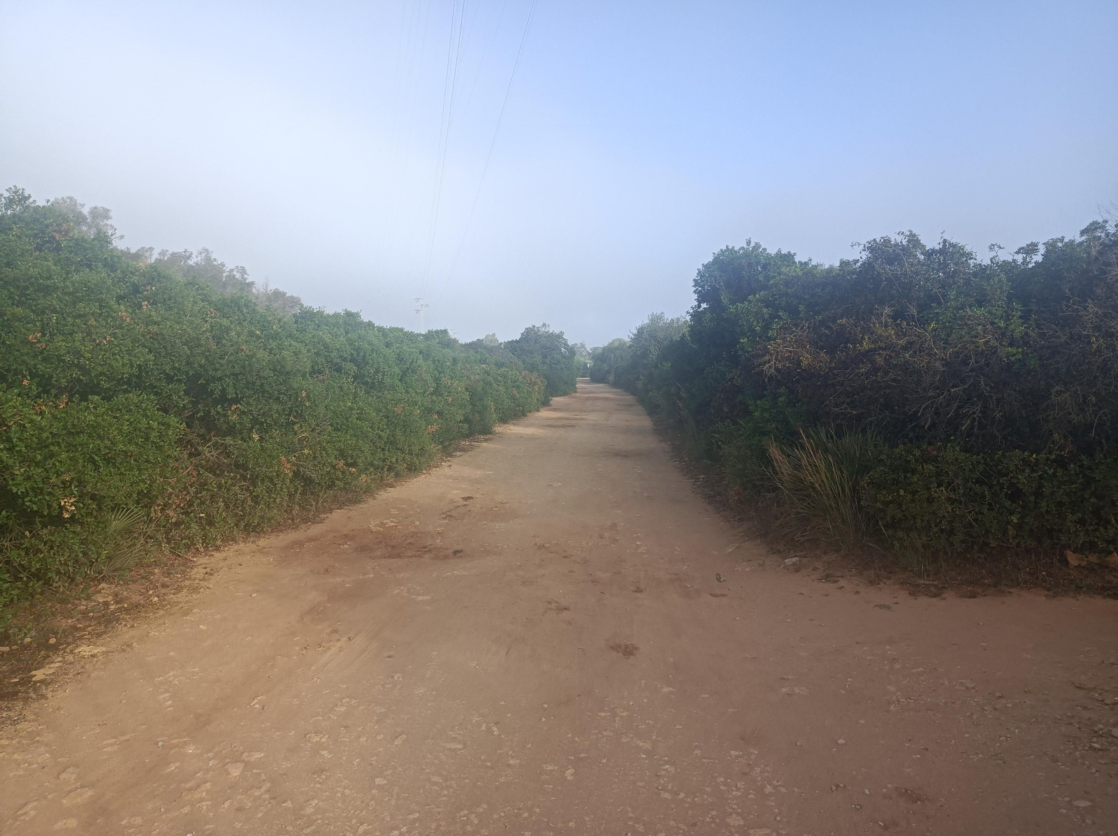 Los primeros compases avanzan por un amplio carril de tierra.