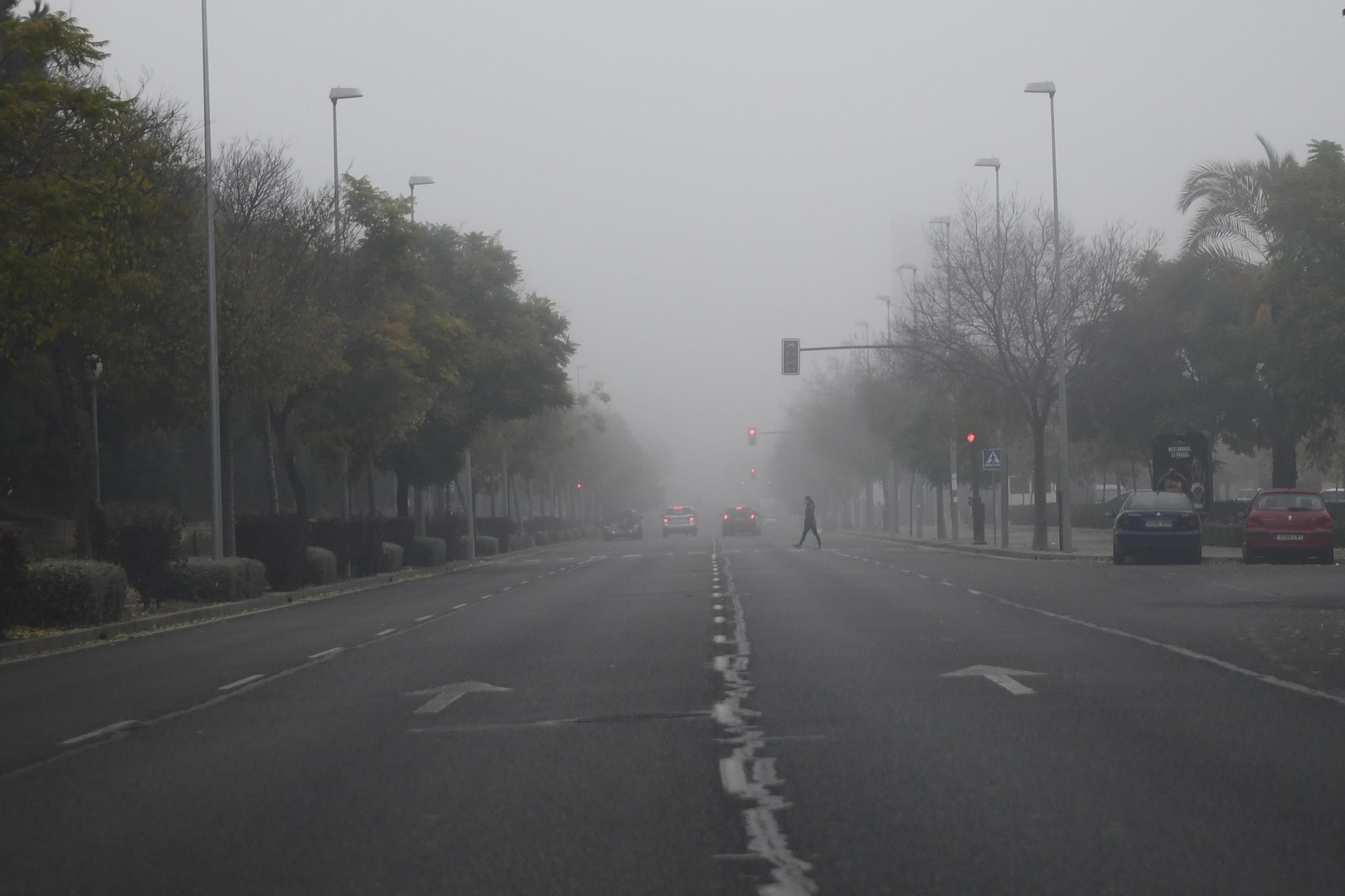 La niebla causó problemas de visibilidad durante toda la mañana de ayer.