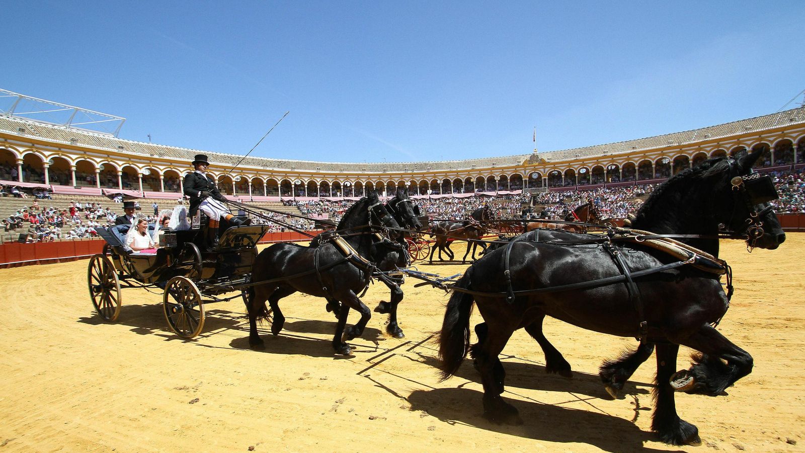 A la cita en el coso maestrante acuden enganches nacionales e internacionales.