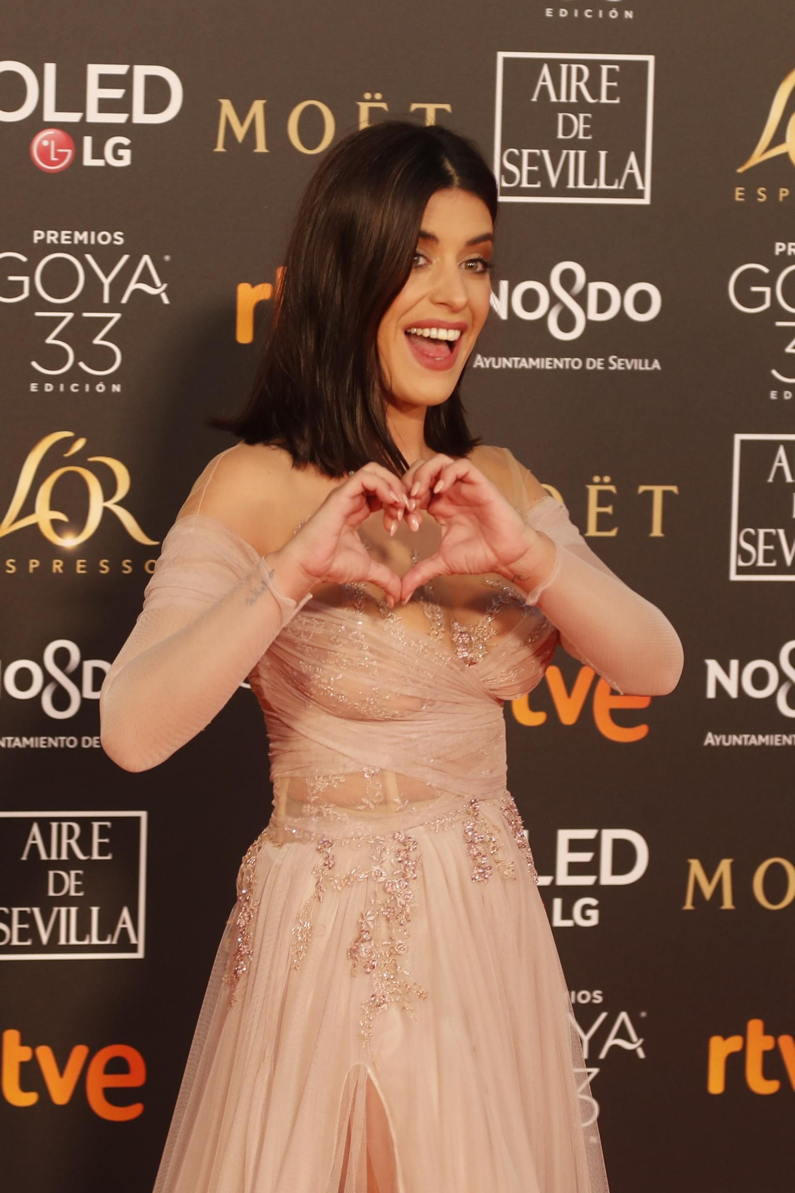 La alfombra roja de los Premios Goya en Sevilla