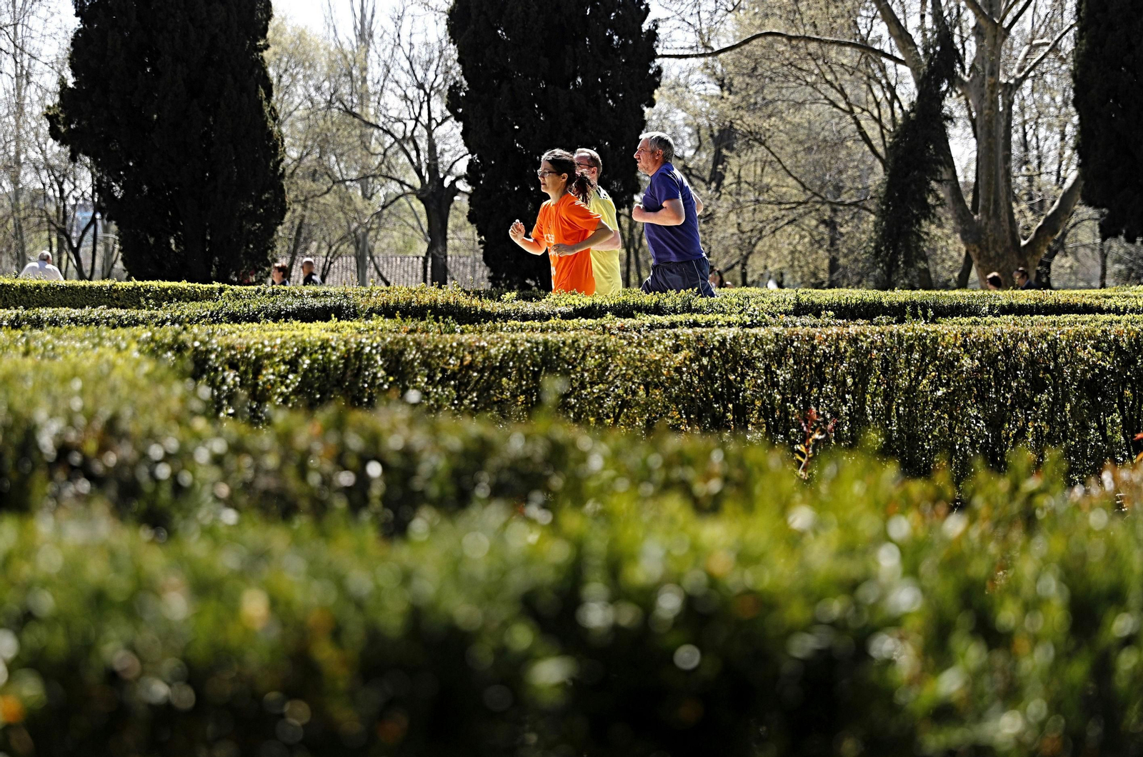 Se recomienda tratar los síntomas y evitar el contacto con los alergenos.