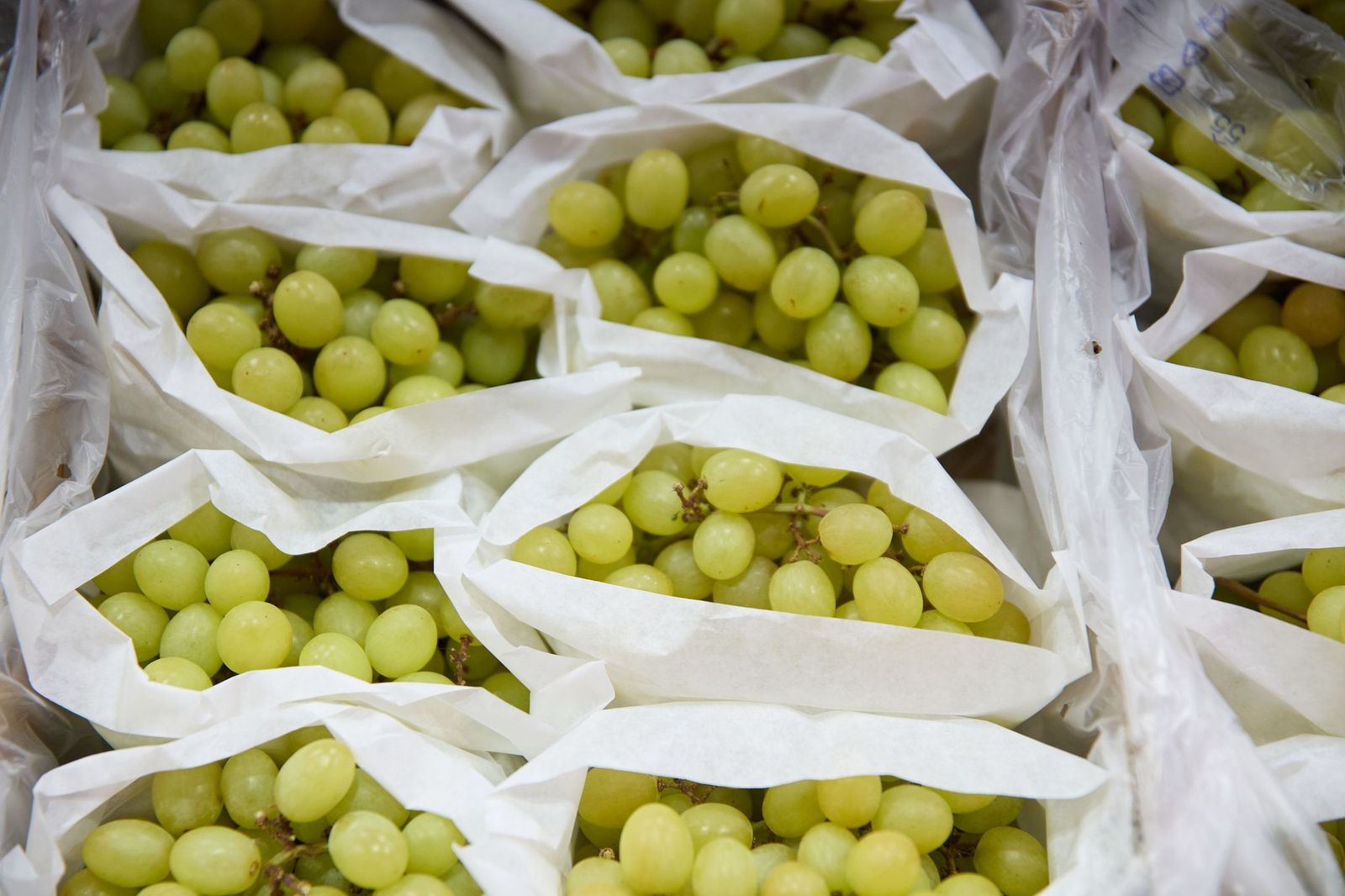 Bolsas de uvas.