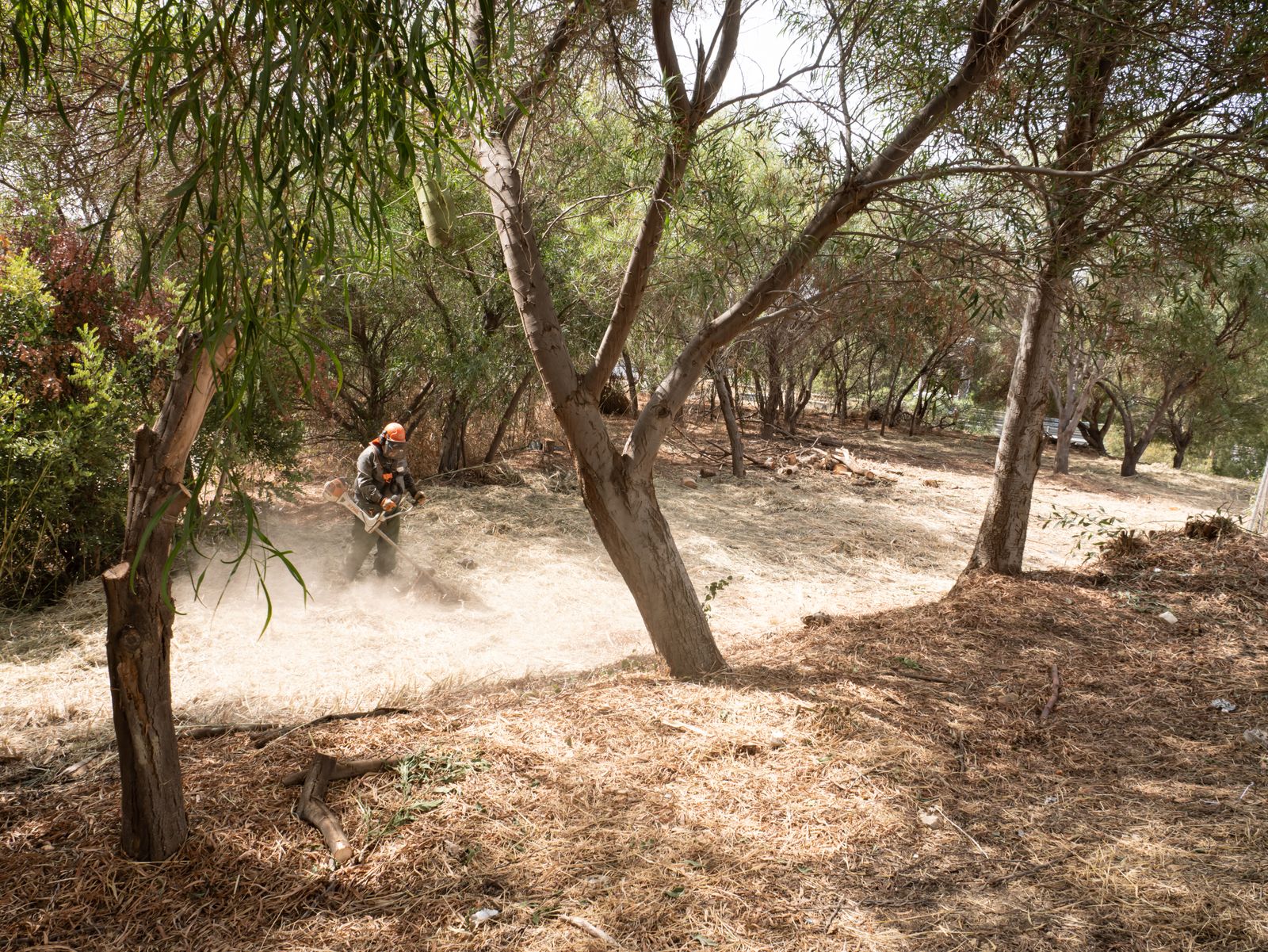 El Ayuntamiento actúa en más de 100 kilómetros de caminos rurales, cunetas y parcelas.