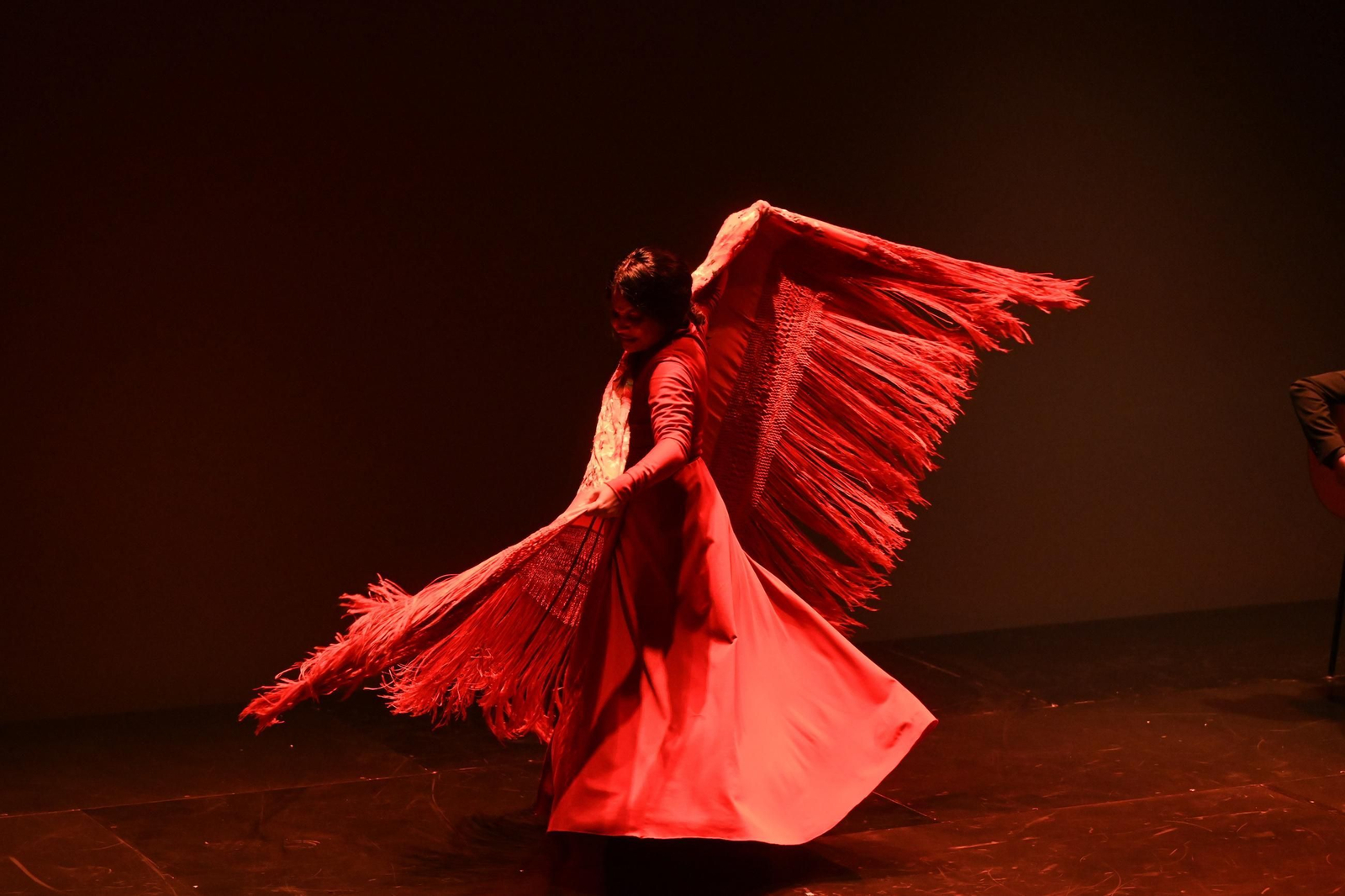 La actuación de Mercedes de Córdoba en la celebración del 25 aniversario de 'El Día de Córdoba'