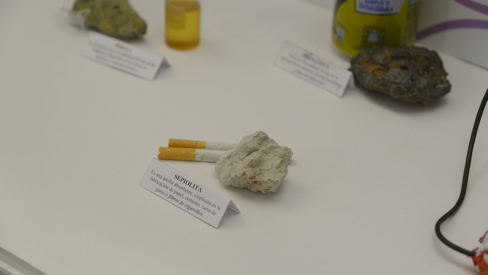 Las mejores imágenes del Pabellón de Historia Natural de la UAL