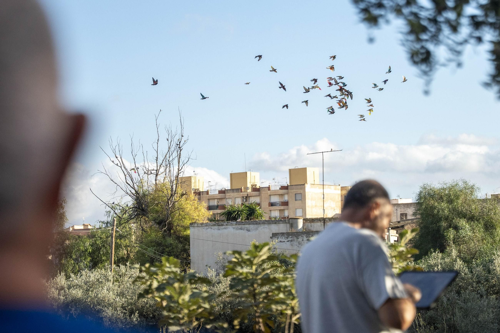 Las mejores imágenes de la suelta de palomos en la Feria de Albox
