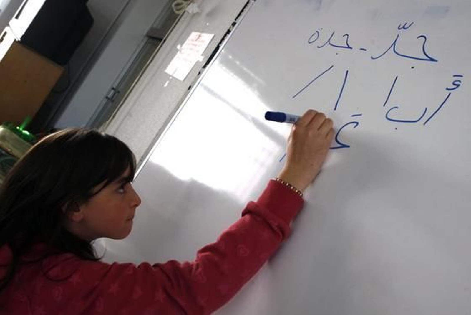 Una alumna de primero de ESO del instituto Albaicín en una de las clases de esta semana.  / Pepe Villoslada