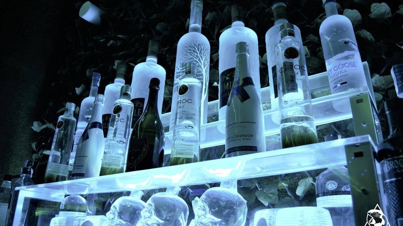 Amazonas Tropical Club.