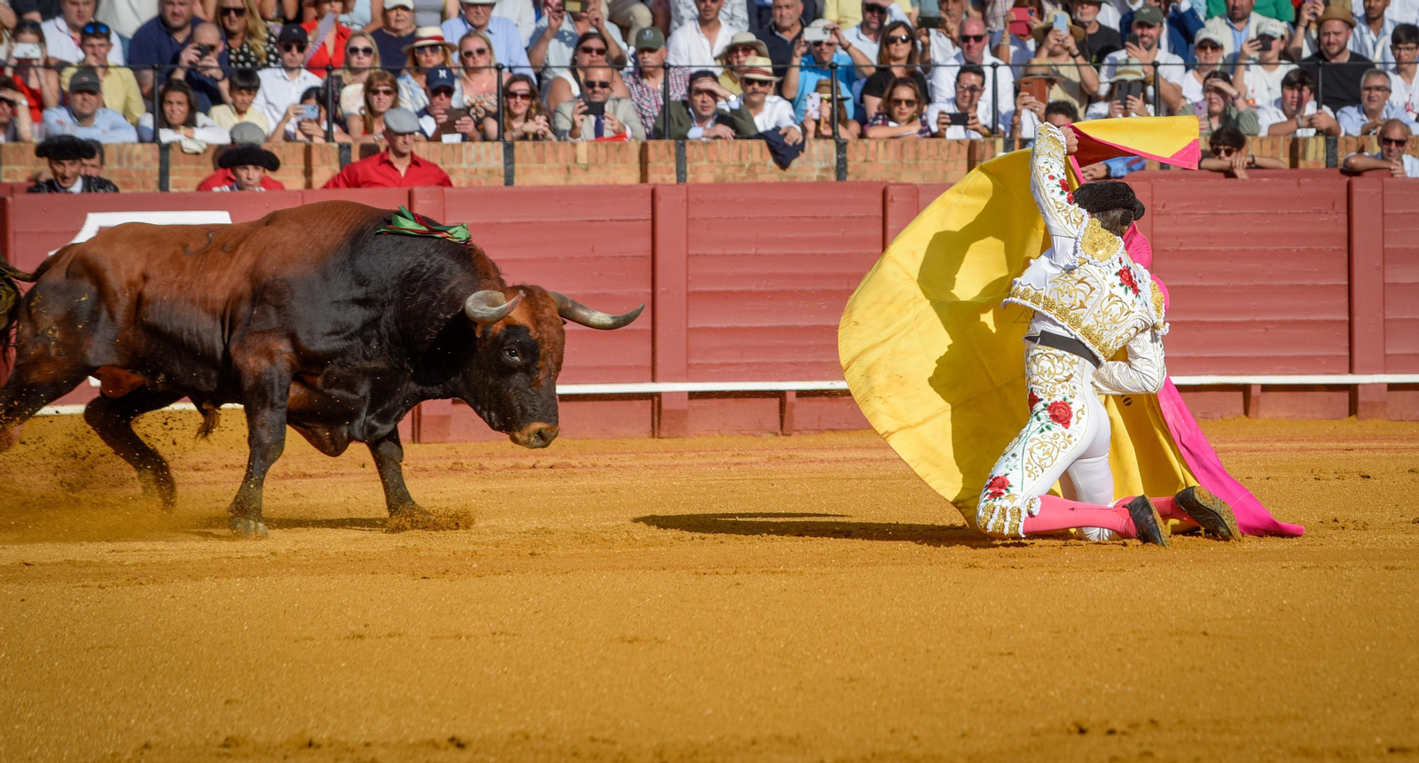 Las imágenes de la corrida de toros de El Fandi, Manuel Escribano y Esaú Fernández