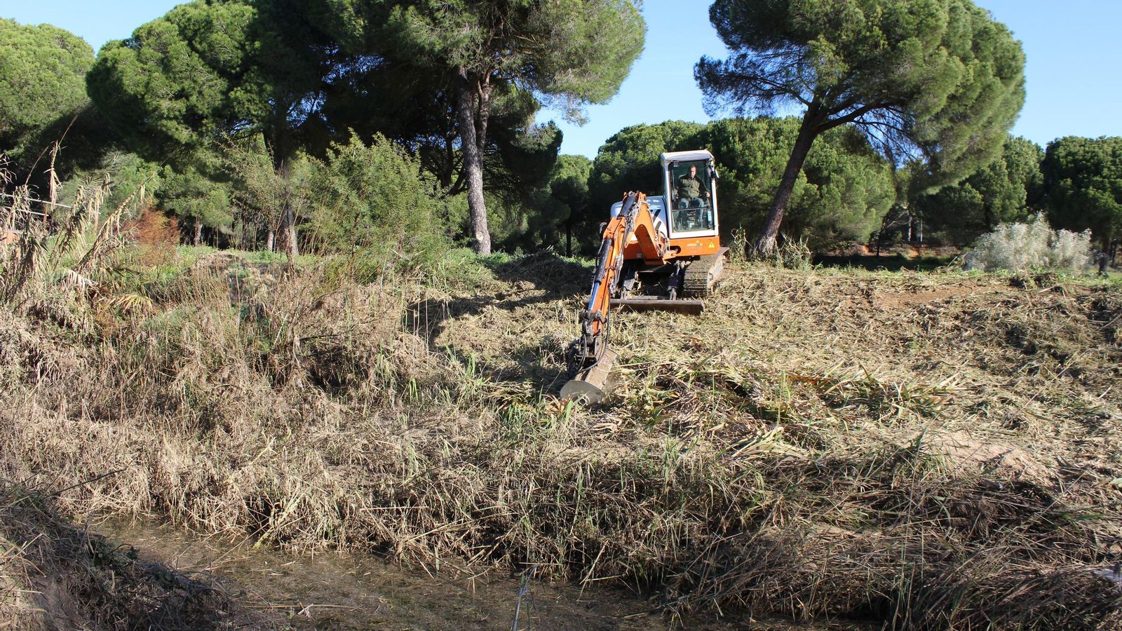 Visita de los representantes del Ayuntamiento de Aljaraque en la visita al lugar de las actuaciones.