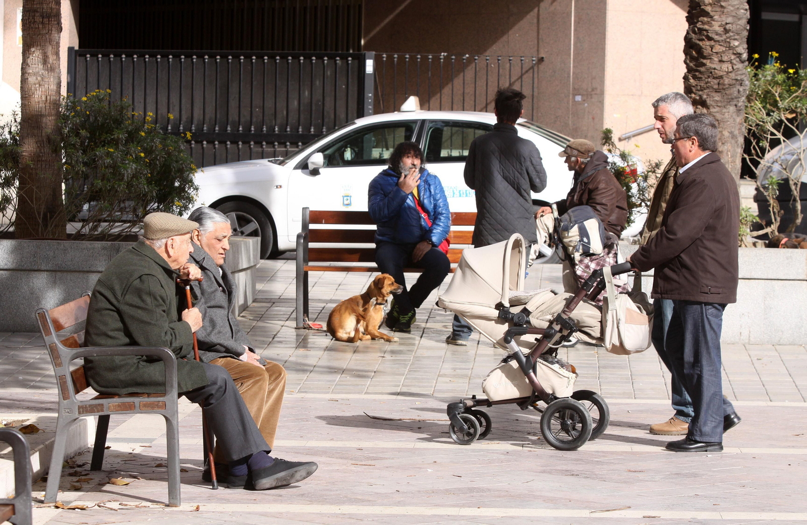 Varios ancianos conversan en el banco de una plaza.
