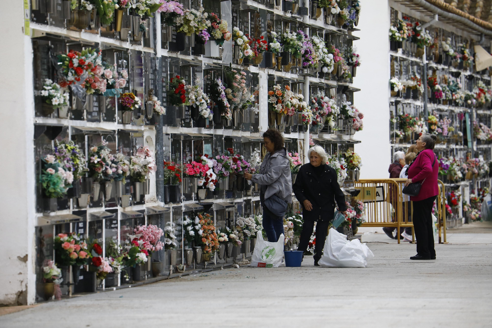 Las imágenes de los preparativos de los cementerios de Córdoba por el día de Todos los Santos