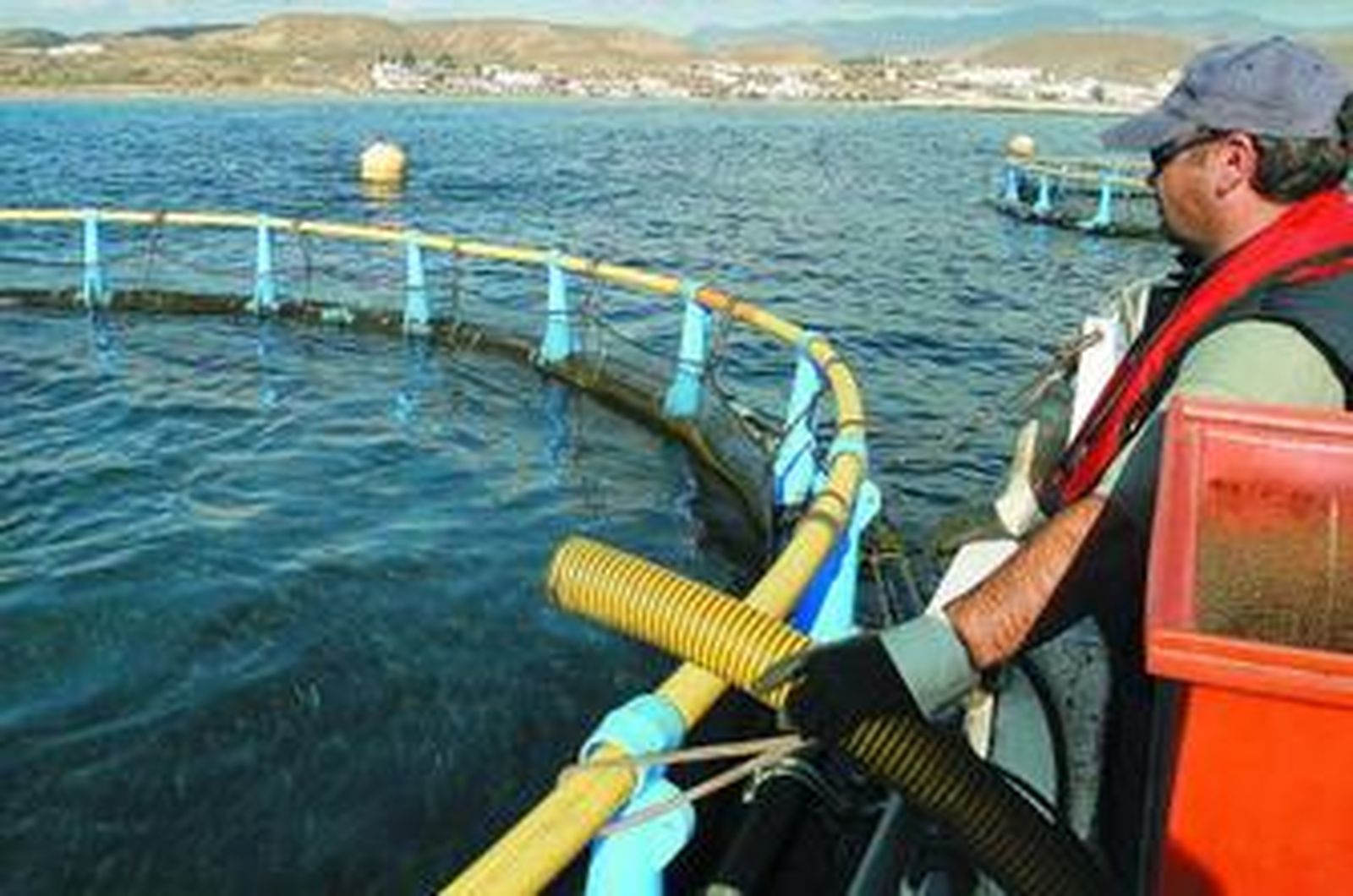 Un operario alimenta una piscifactoría de lubinas y doradas situada en la costa de Carboneras.