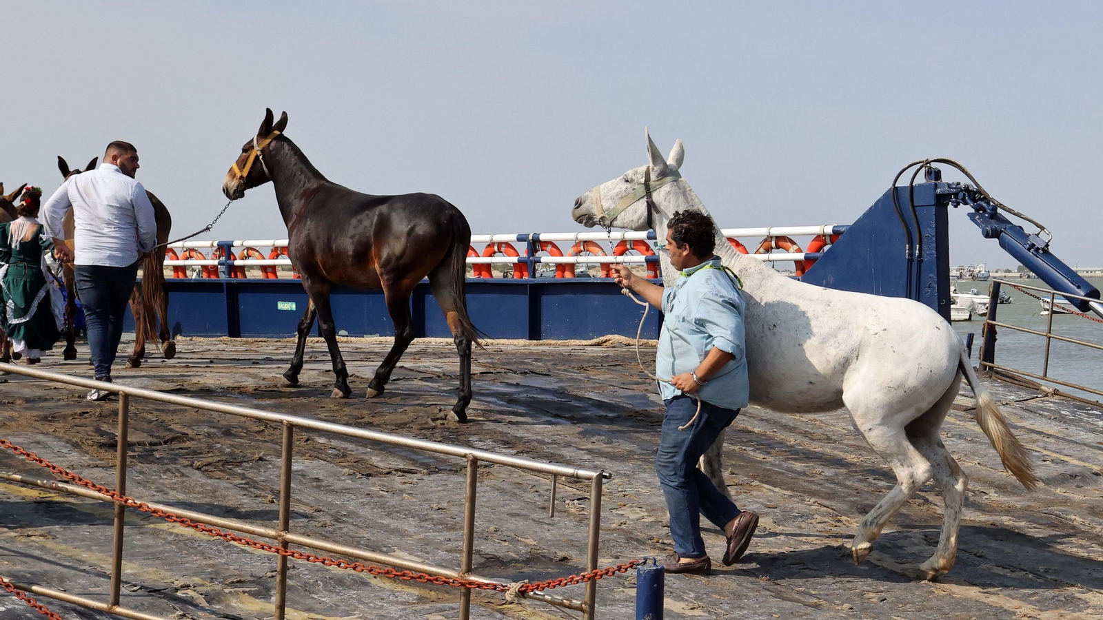 La Hdad del Rocío de Jerez de Bajo Guía a Doñana