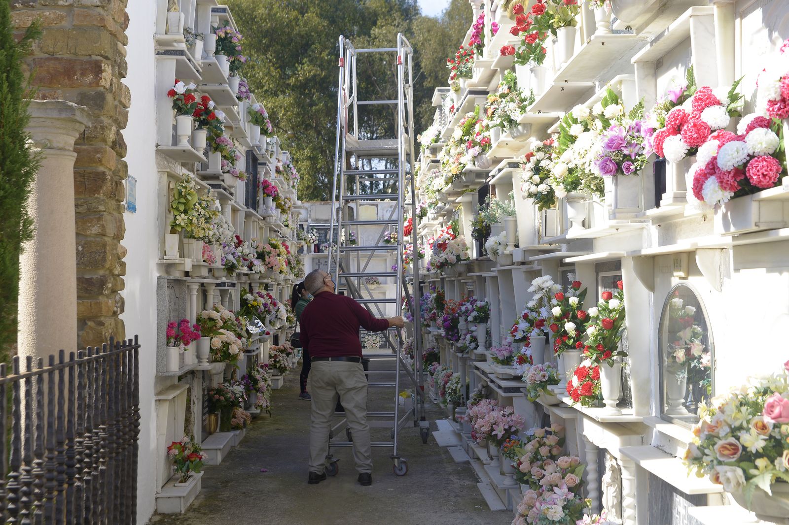Fotos de la víspera de los Tosantos