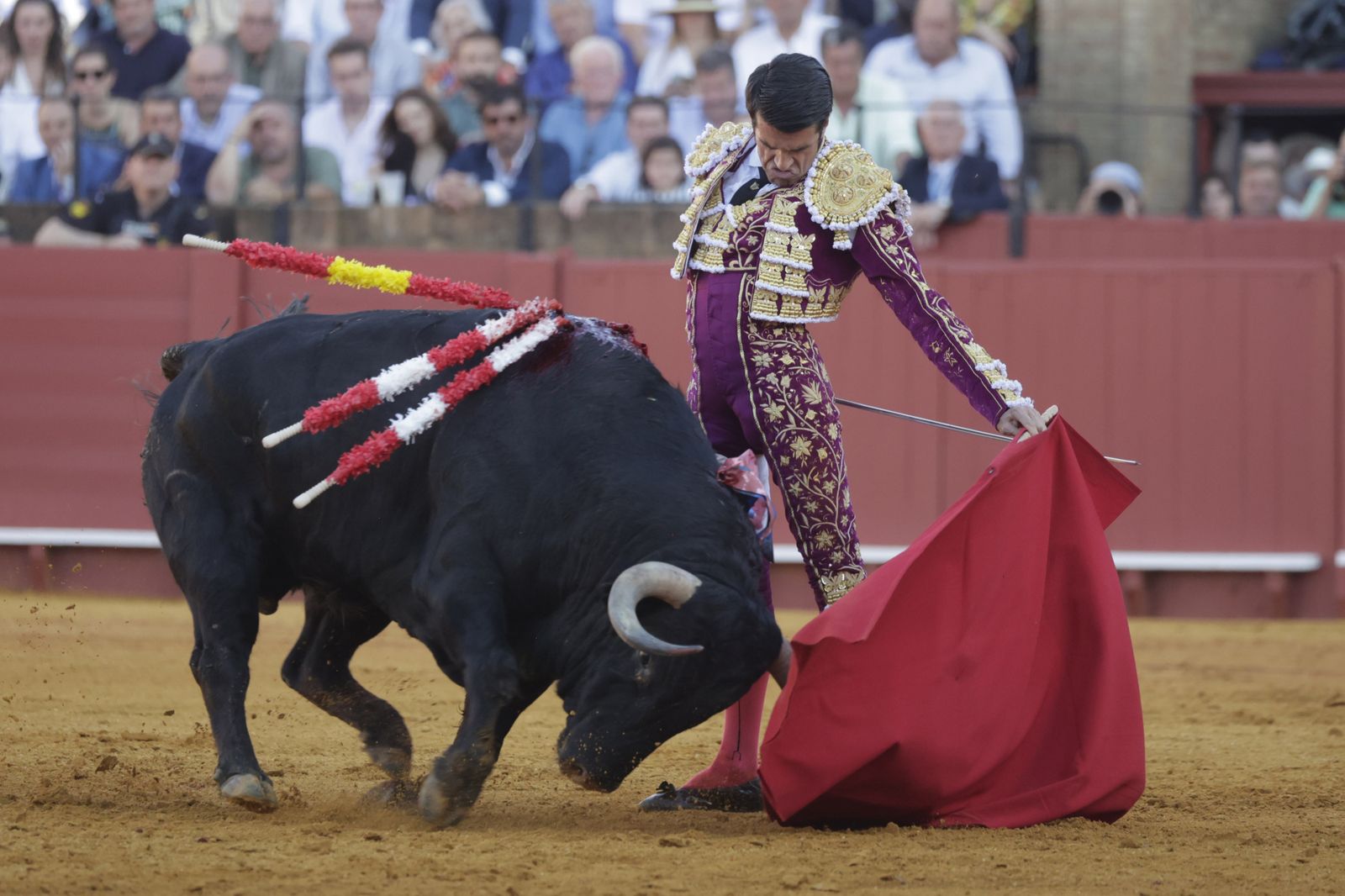 Las imágenes del festejo