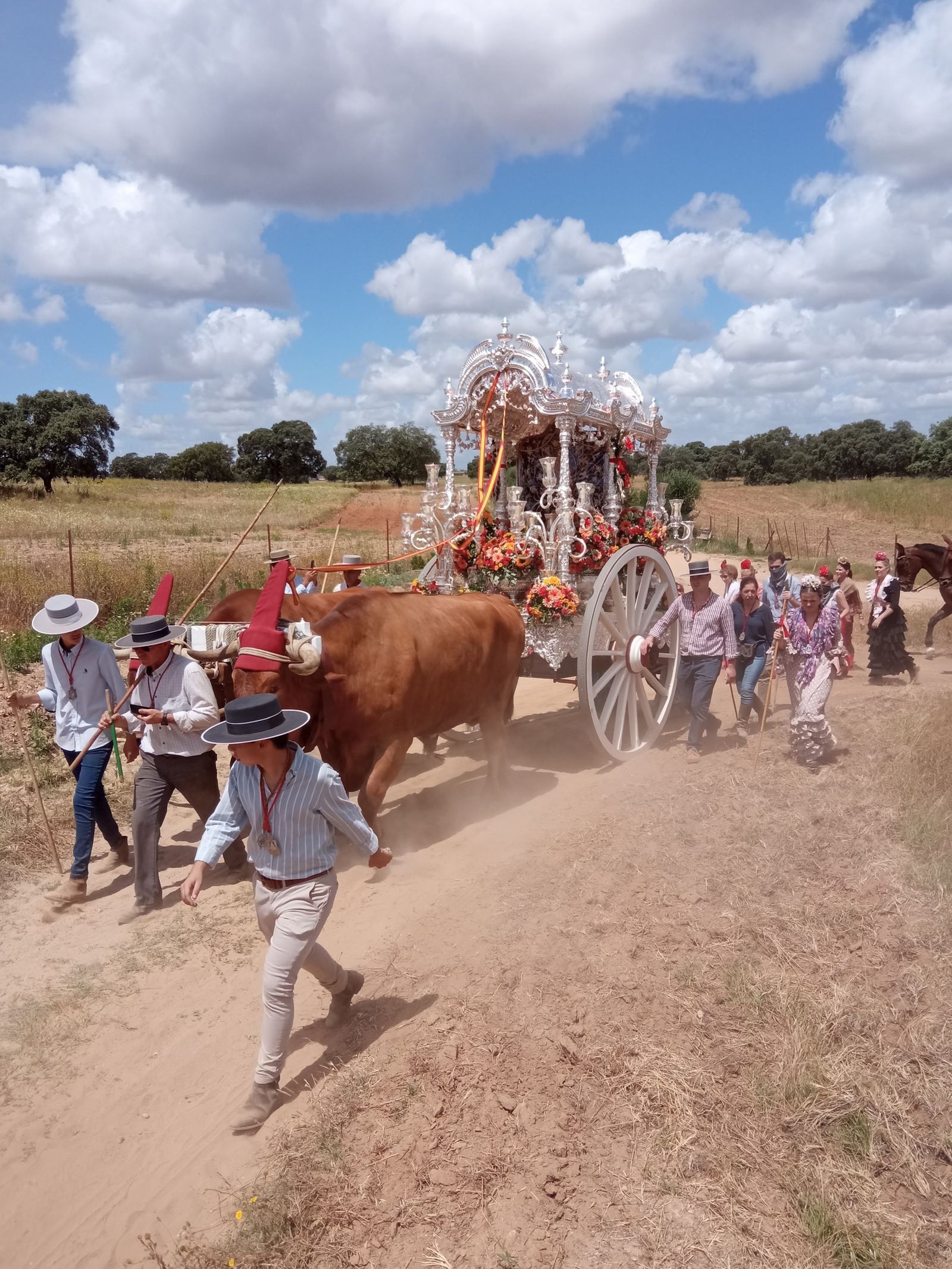 La carreta del Simpecado del Rocío de Carrión de los Céspedes