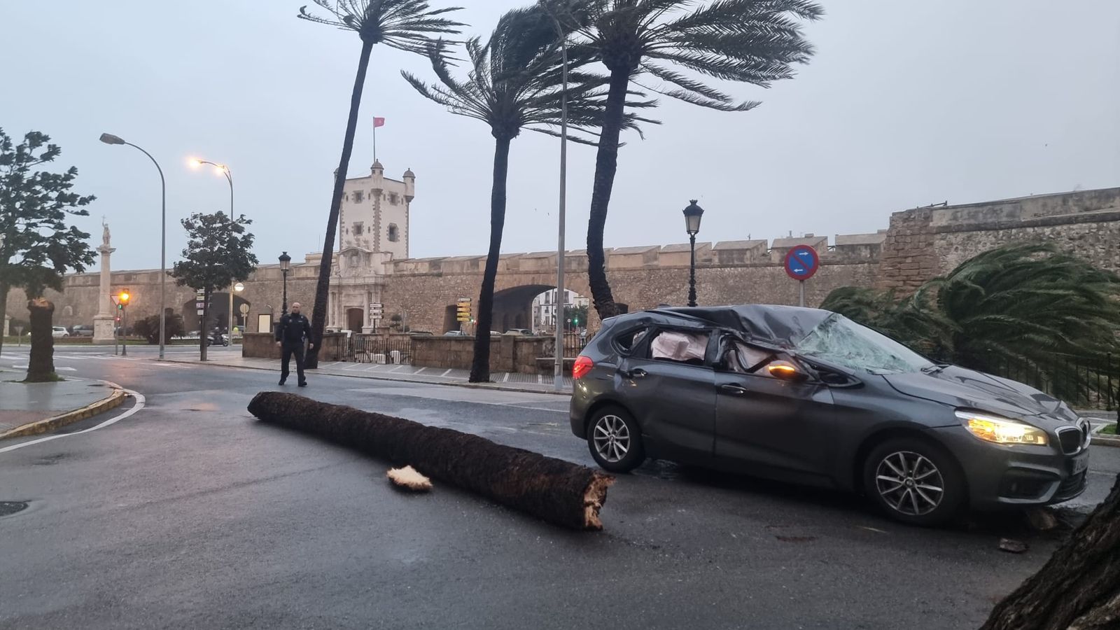 Palmera caída en Acacias sobre un vehículo que circulaba por esta calle.