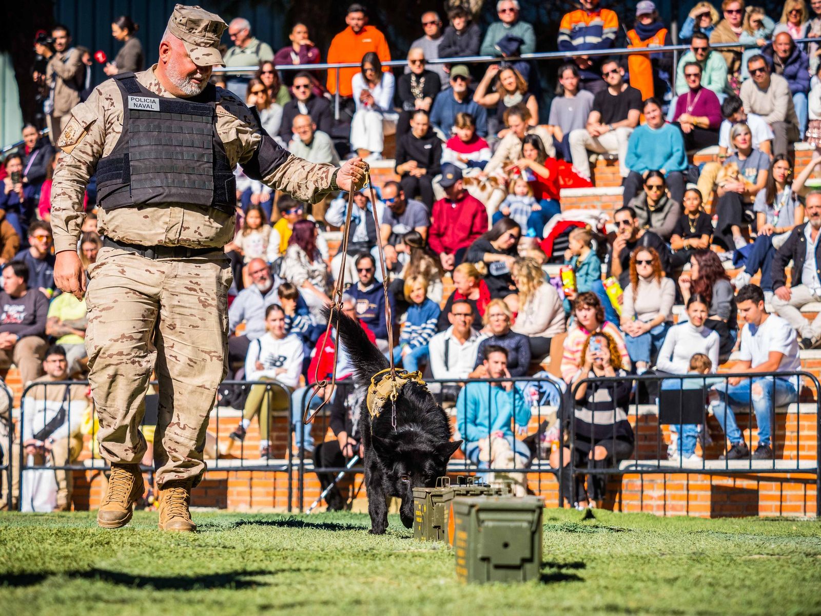 Las imágenes de San Antón 2025 en San Fernando