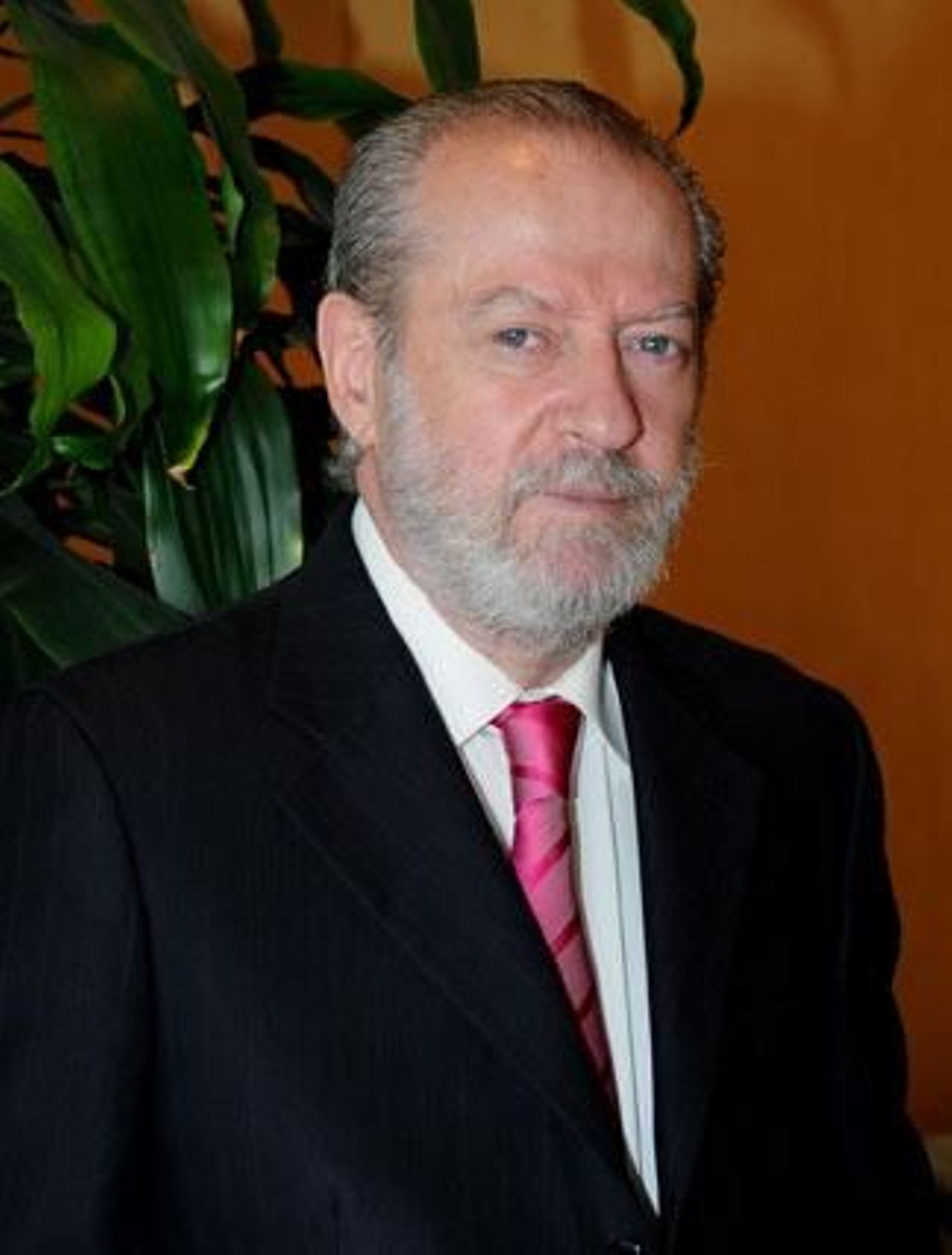 Diputación destinará 182 millones a proyectos sociales en 2011