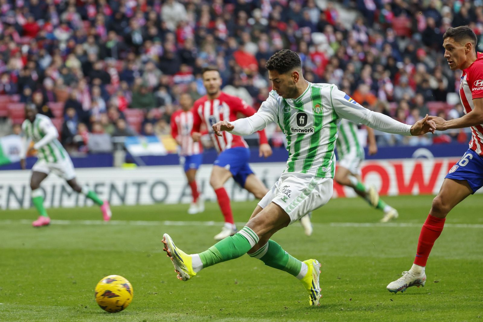 Las fotos del Atlético de Madrid - Betis