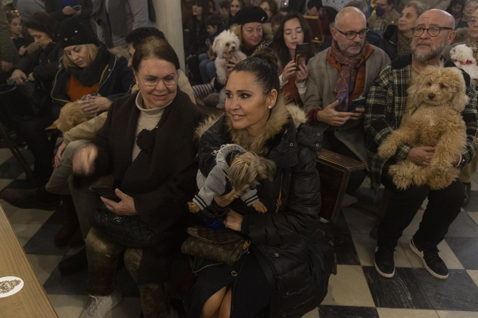 Bendición de animales por San Antón en la Divina Pastora, todas las fotos