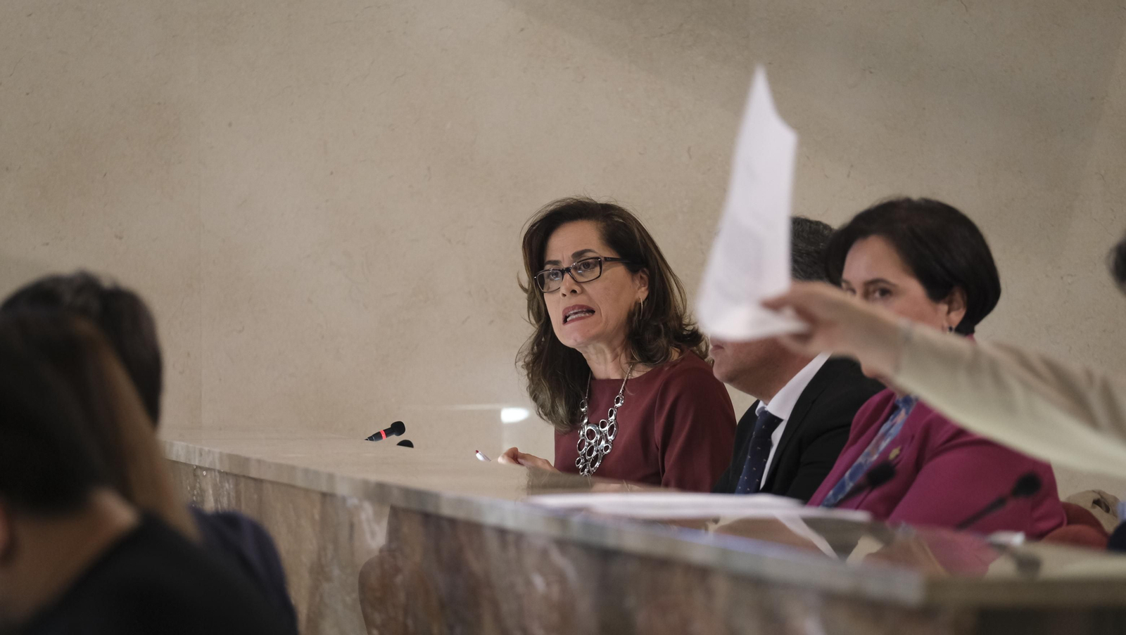 Imágenes del pleno ordinario del Ayuntamiento de Almería