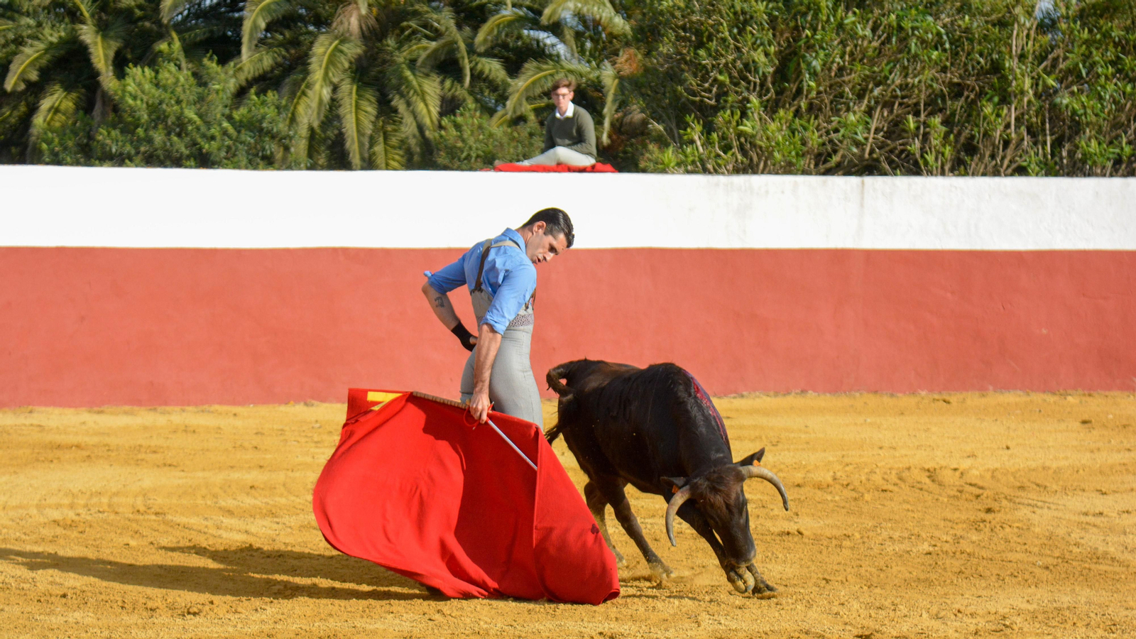 Tentadero con Talavante en la finca La Palmosilla