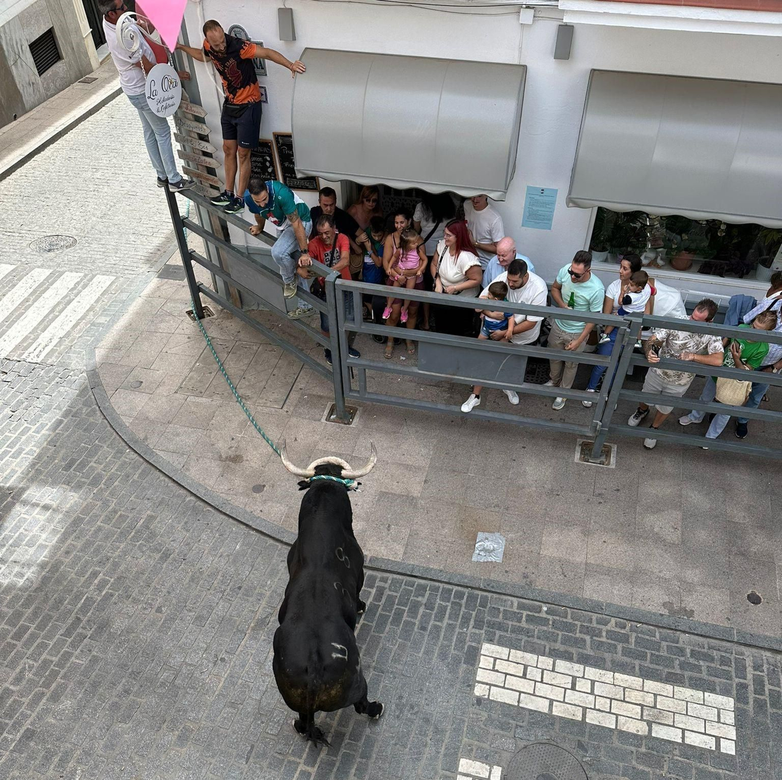 Carcabuey vuelve a disfrutar con su toro de cuerda, en imágenes