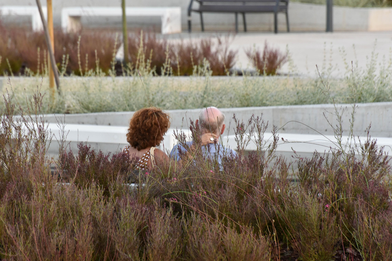 Nuevo paque 'La playa de mi barrio'