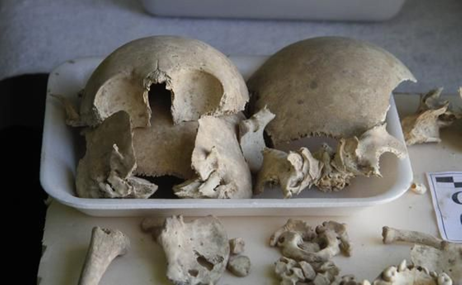 Esqueletos humanos hallados durante la restauración de la iglesia de San Luis de los Franceses.

Foto: Victoria Hidalgo