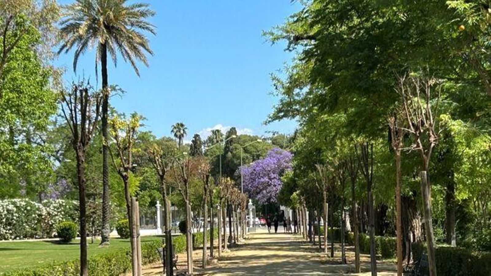 Jardines de las Delicias