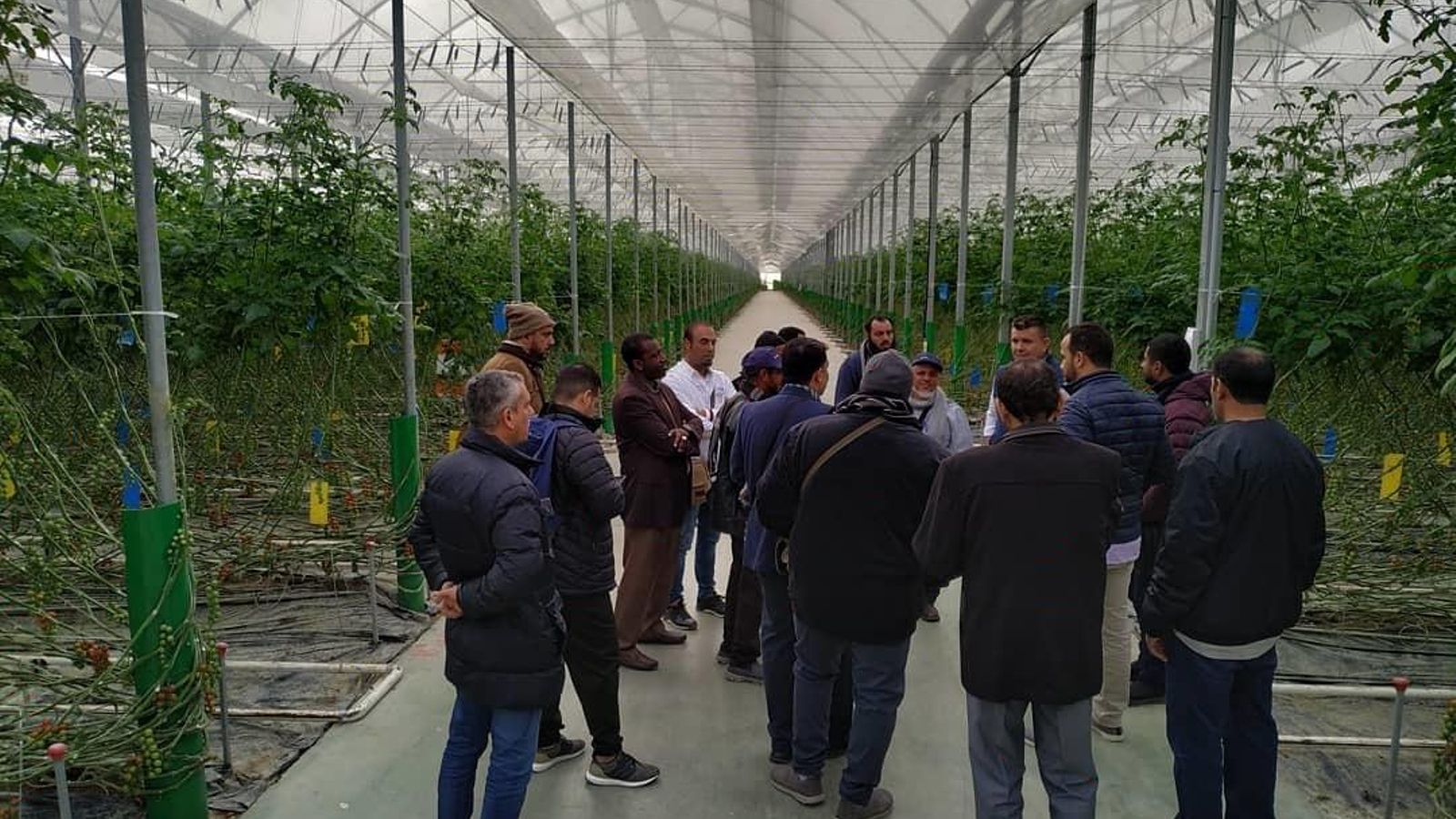 Más de una docena de personas componen la delegación saudí.