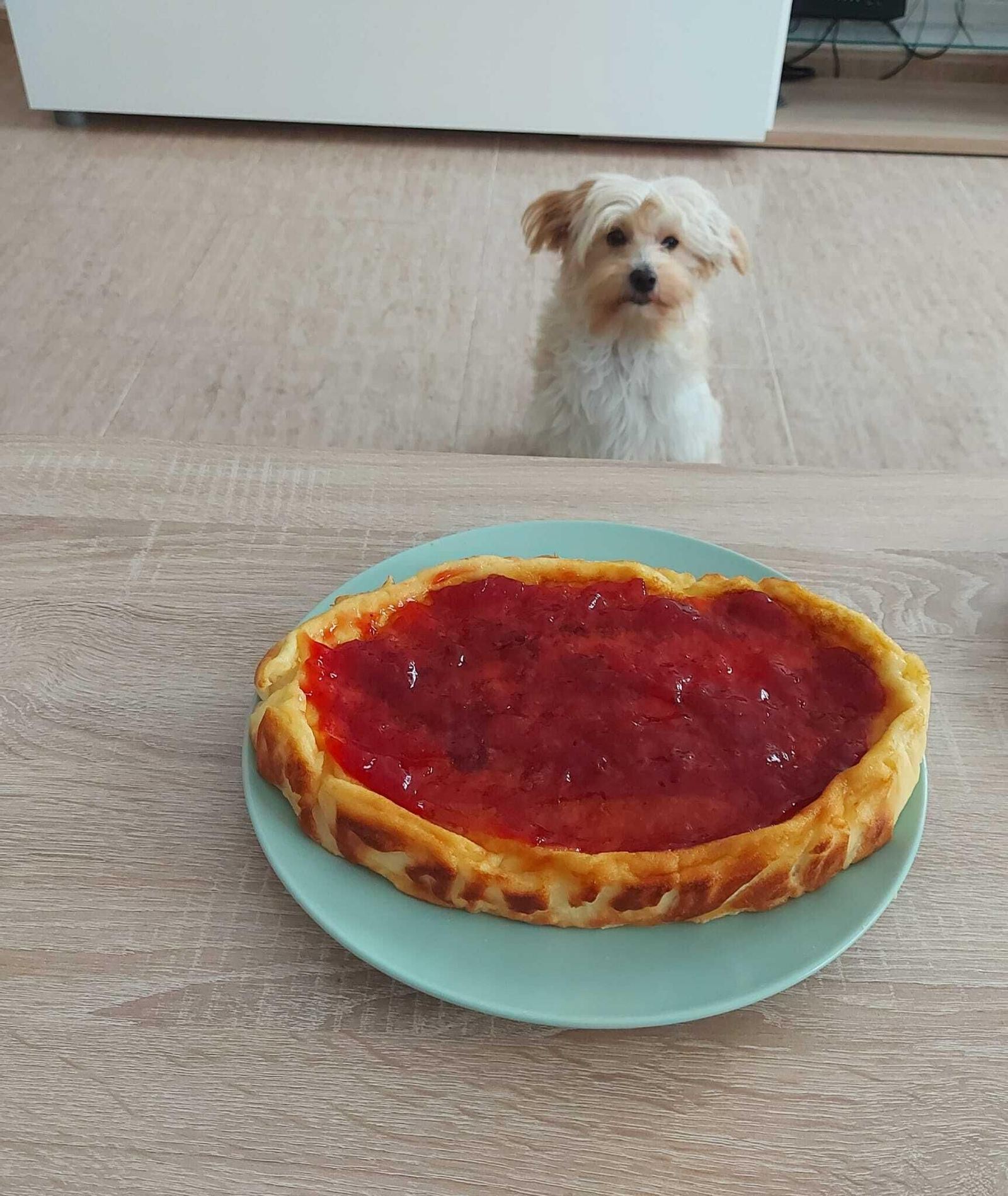 Robin observa la tarta de queso y mermelada de fresa.