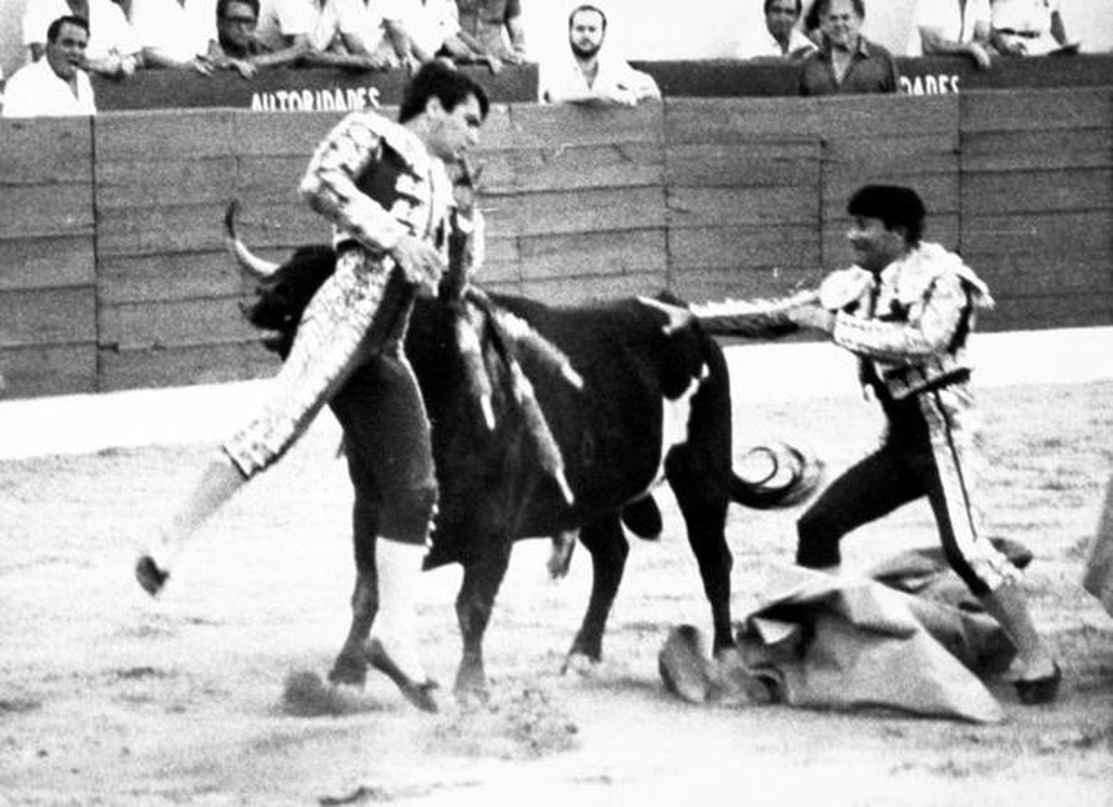 Yiyo fue prendido dramáticamente por la axila; el pitón le partió el corazón.