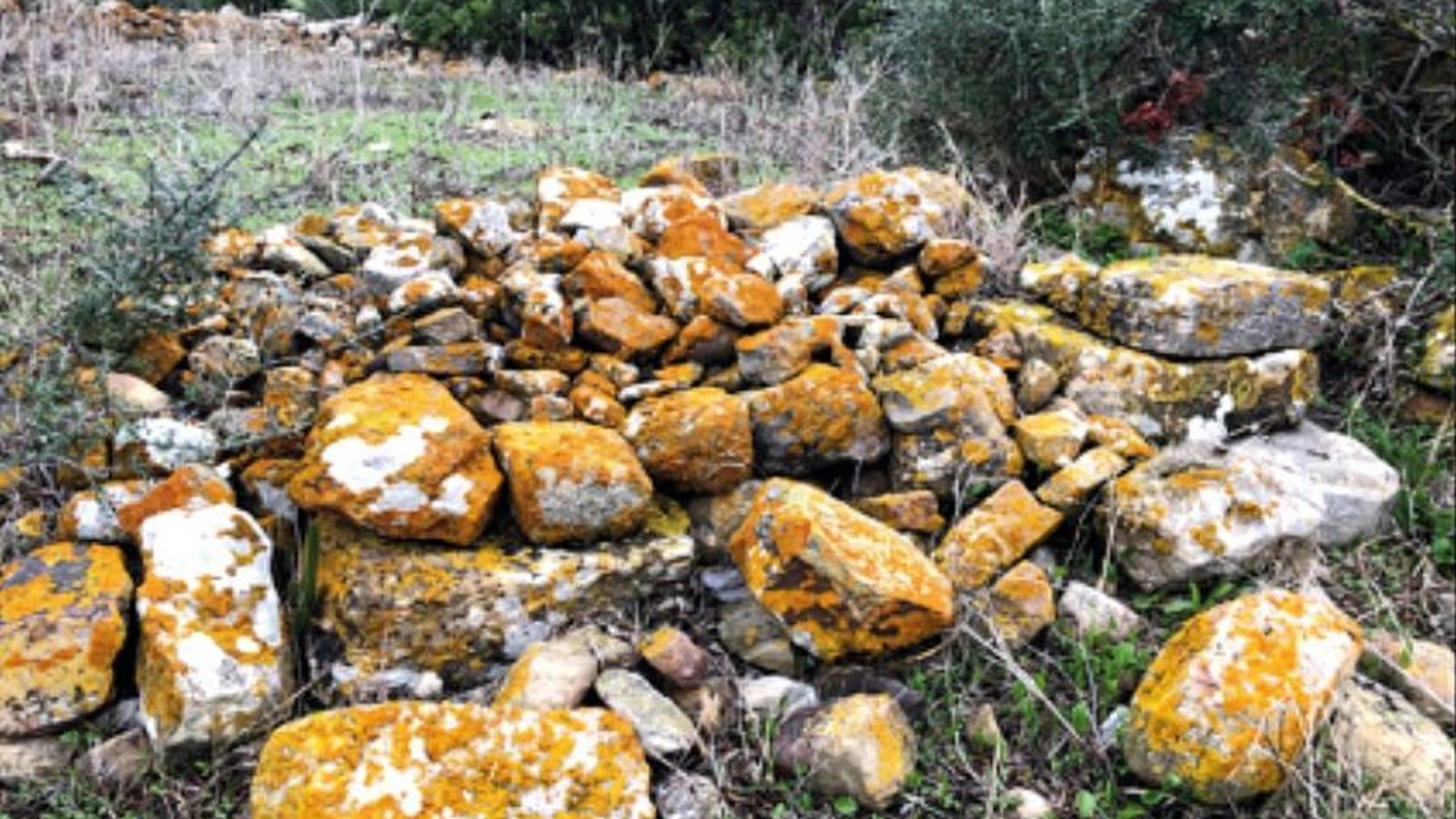 Sillares y piedras canteadas en la probable zona residencial del asentamiento.