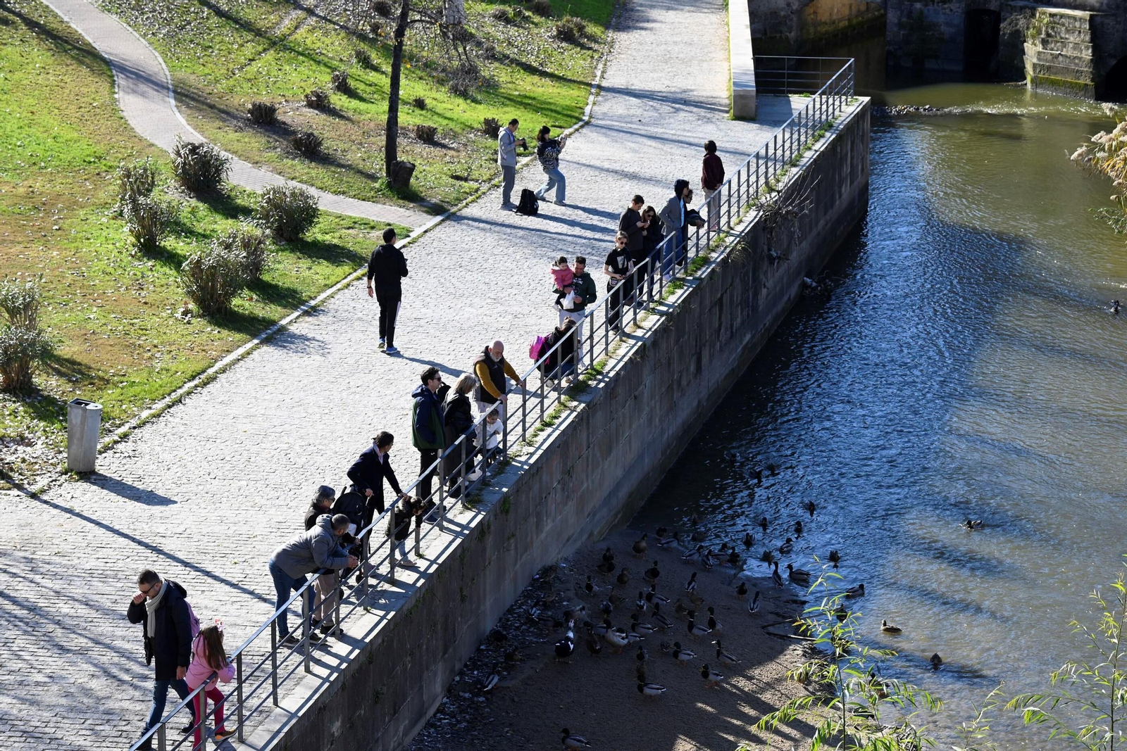 Los cordobeses salen a la calle en el primer día de 2025, en imágenes