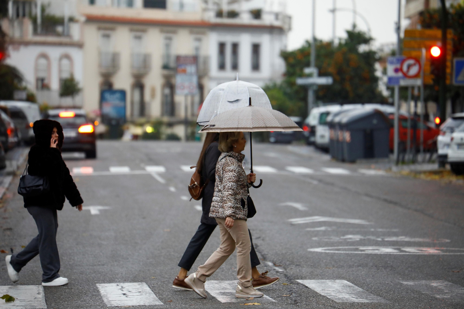 La lluvia vuelve a Córdoba con el paso de la borrasca Hipólito, en imágenes