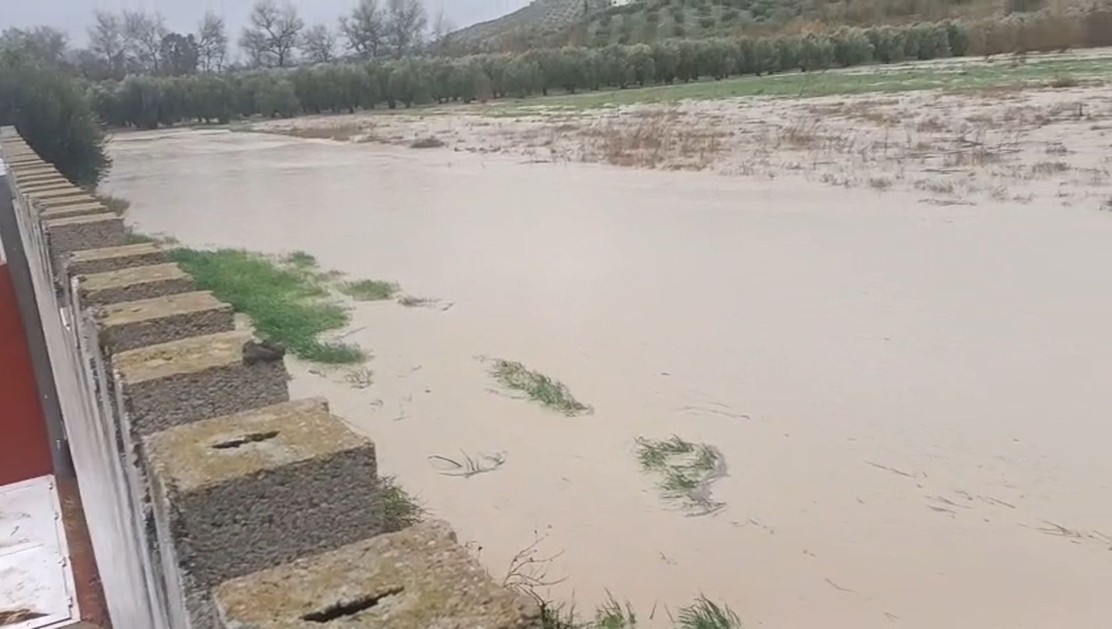 El río Guadalbullón se ha desbordado a su paso por el Puente Nuevo de Jaén