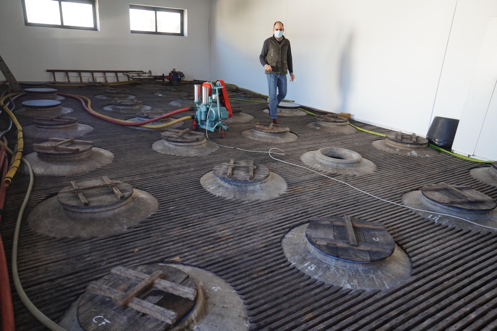 Un recorrido en fotografías por el vino nuevo de Moriles