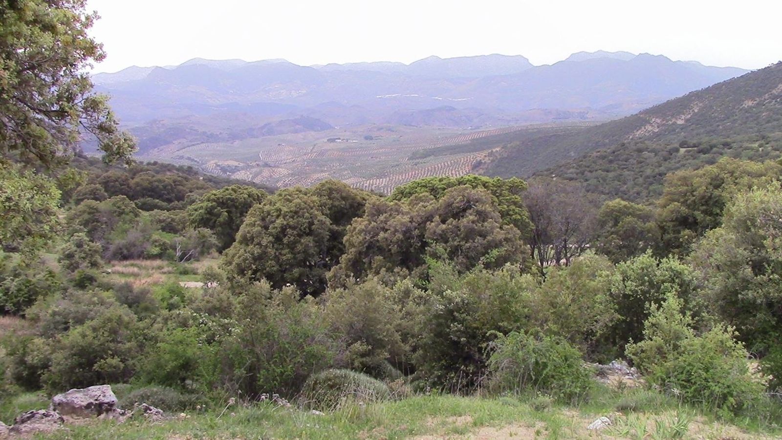 Este lugar fue punto de inspiración para algunas de las obras más conocidas de Machado.