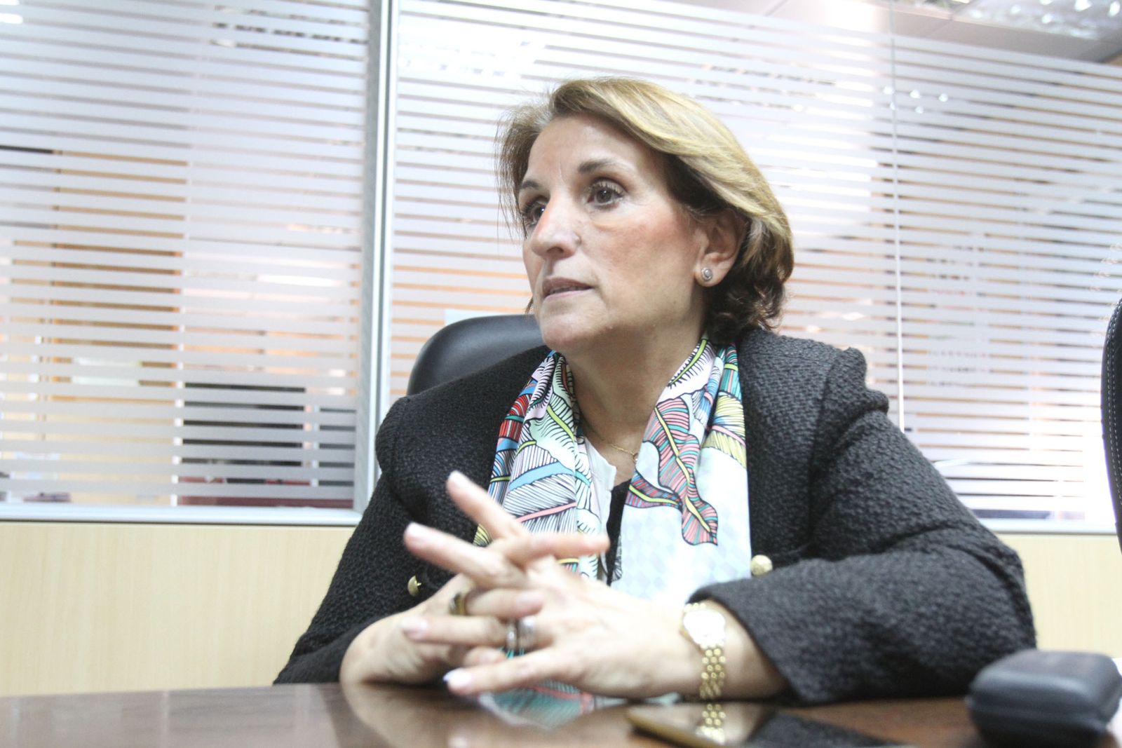 Lucía Vizcaya, en un instante de la entrevista