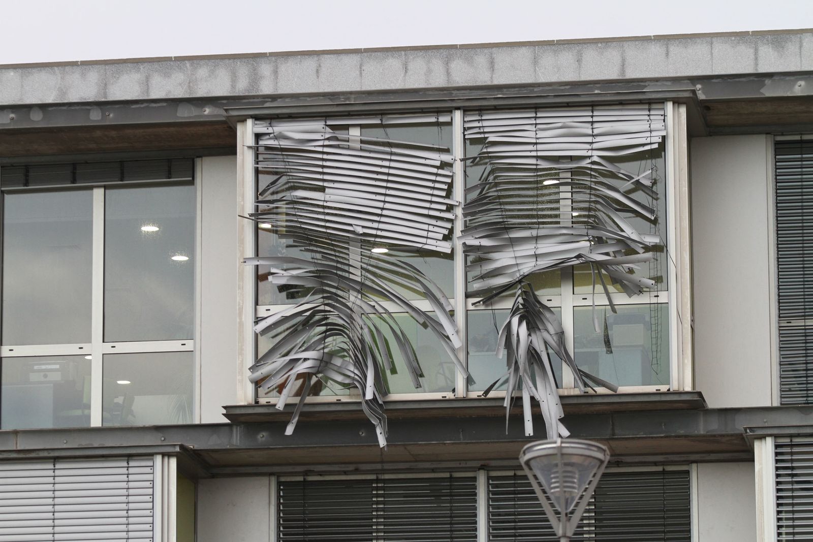 Consecuencias del temporal de lluvia y viento a su paso por la capital