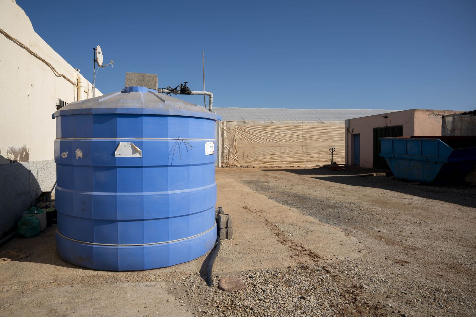 La primavera se planta en invierno entre sandías y tomates almerienses