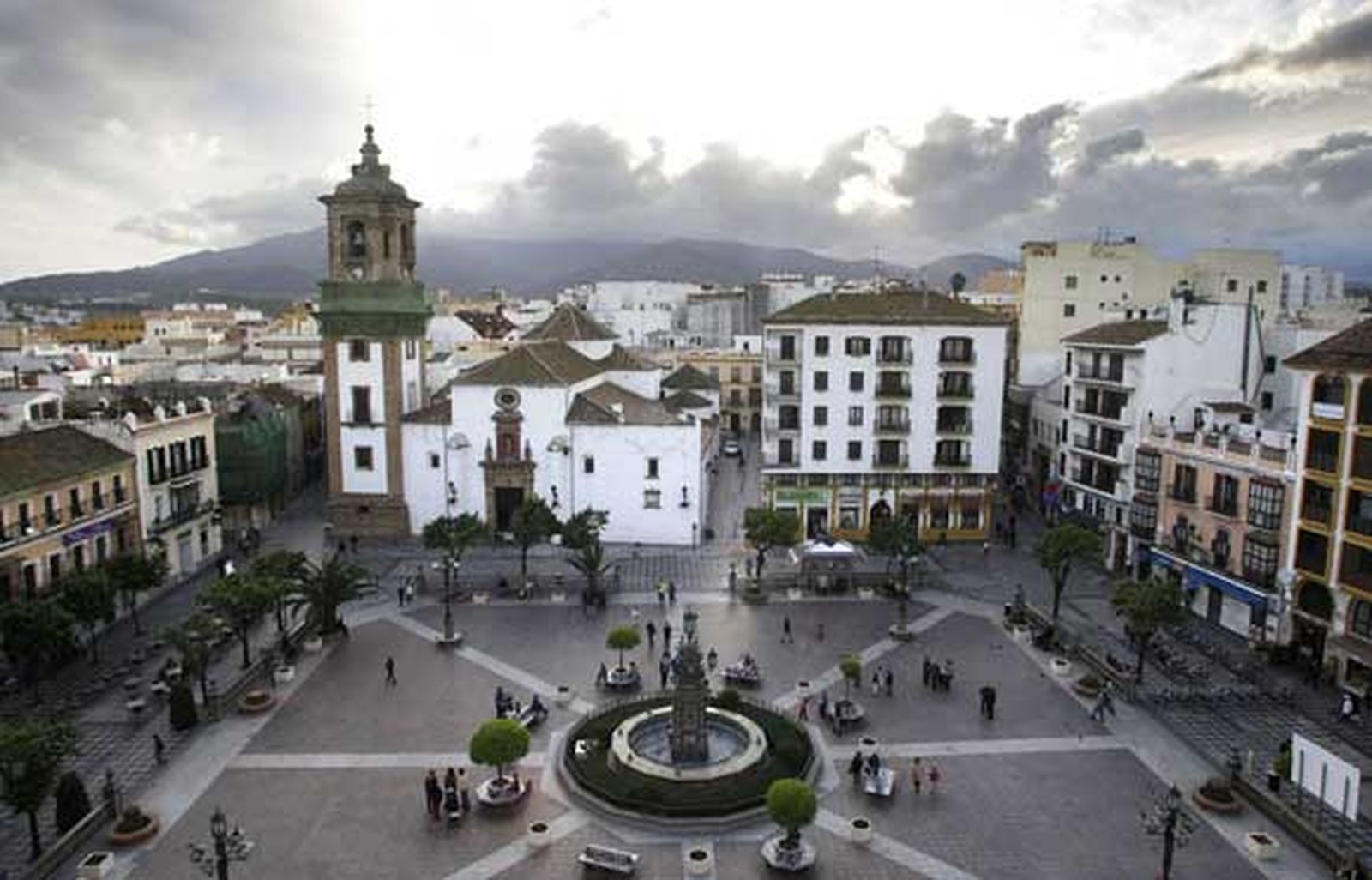 Tras estar afectadas por el picudo rojo, 14 de las que habían han sido taladas por la base, y las otras dos apenas levantan un par de metros./Fotos:Erasmo Fenoy

Foto: Erasmo Fenoy